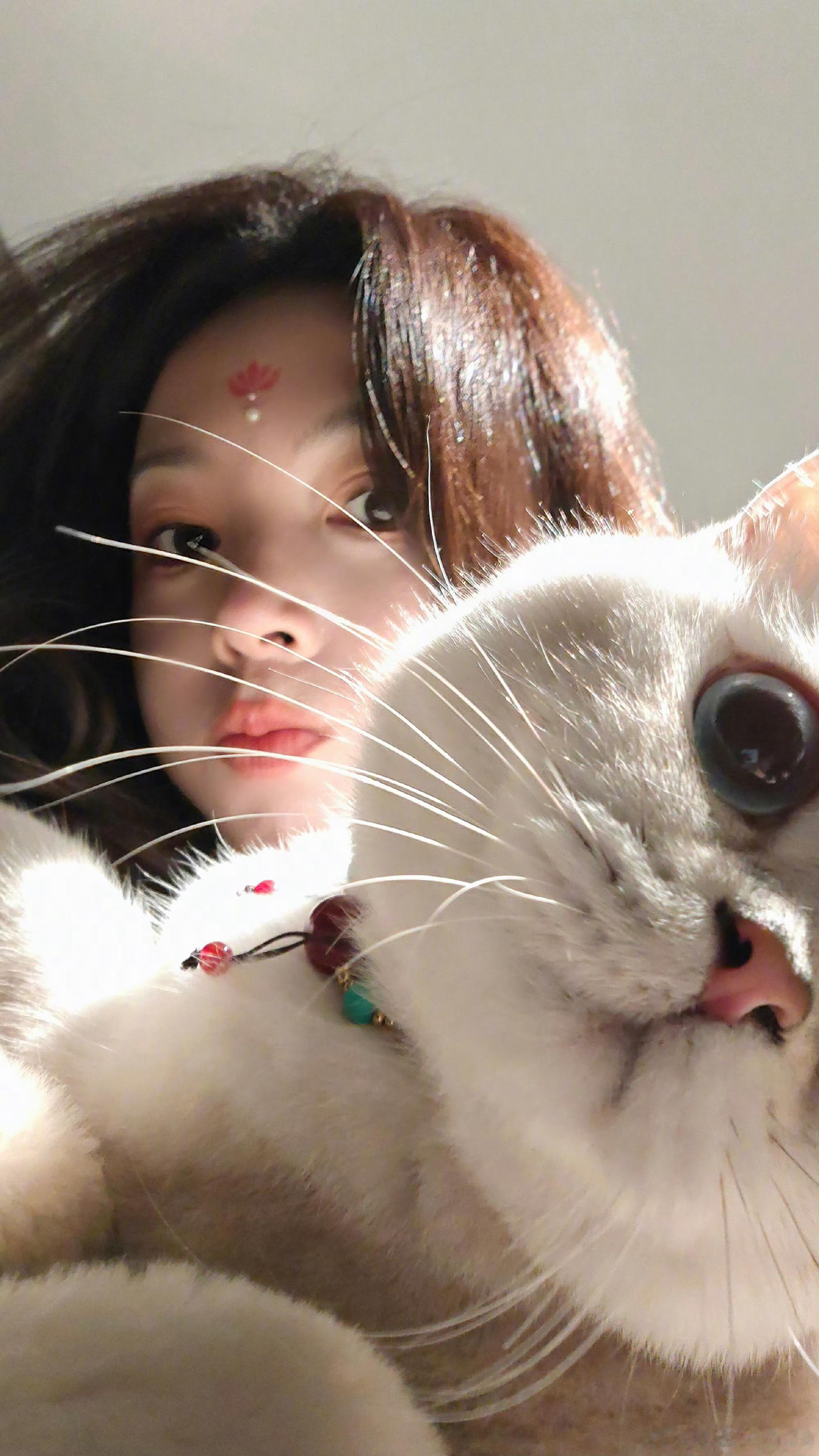 陈瑶猫不出仅展示猫不出可以把人出给我吗🤩​​​