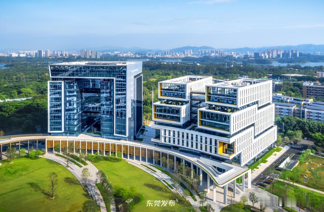 东莞理工硕士放弃狱警去当大专老师，是明智还是妥协？2019年，表妹的儿子20