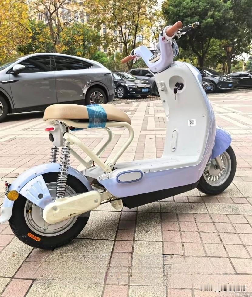 电动自行车造成这个样子如果不是厂家的真实意思表达，这个×××真是要完了！不相