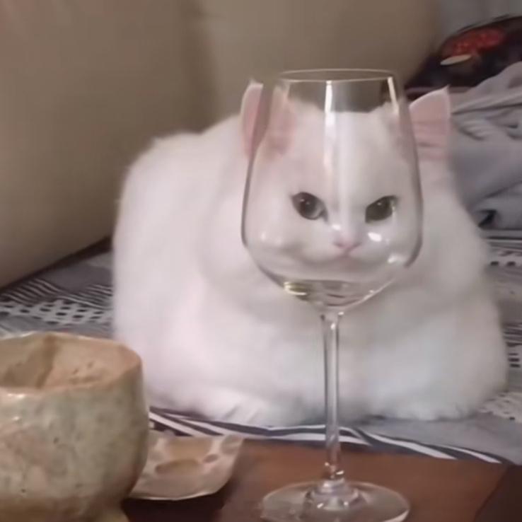 清早起床，满满的正能量​​​
