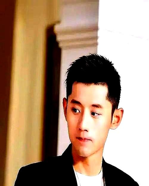 张继科说，不会再有下一个张继科了。他一句话就把人从“只要努力就能行”的梦