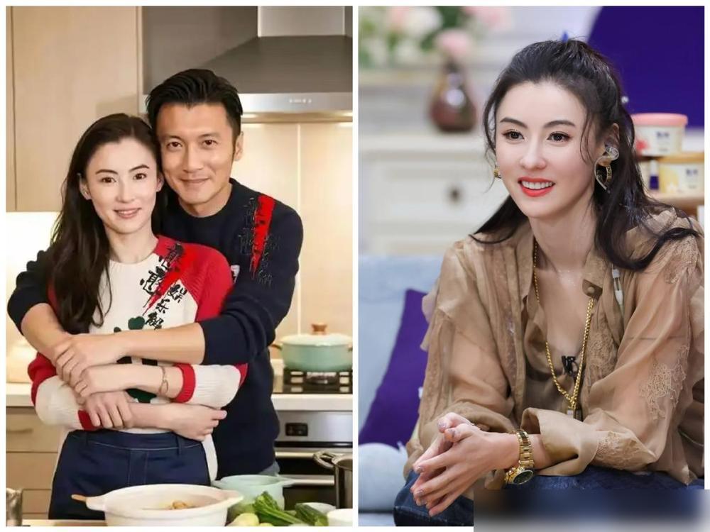 破案了！谢霆锋当年非要和张柏芝离婚，真不是王菲插足，而是最近她在庭审上整个人