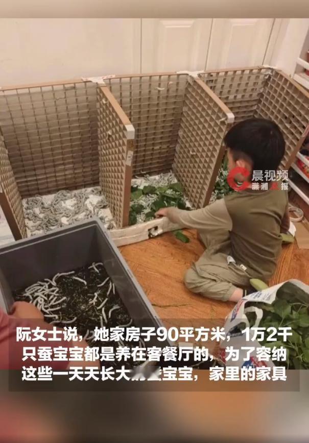5月19日，武汉一位普通家长的育儿日常温柔刷屏。一对平凡父母为成全6岁儿子的