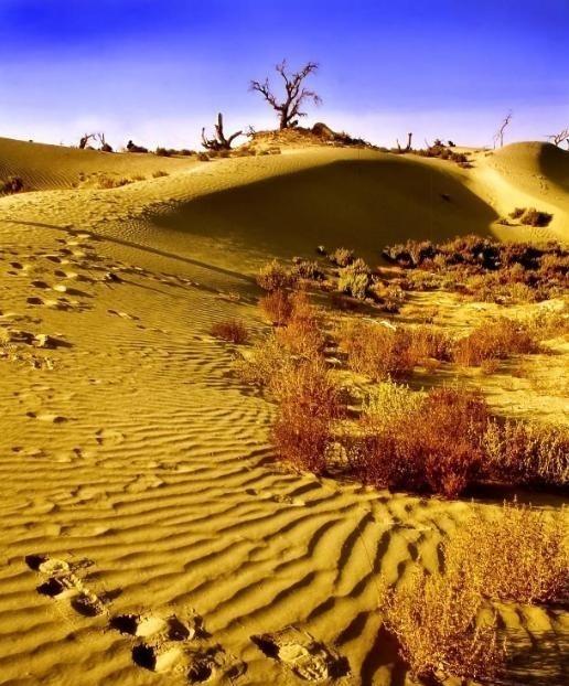 为什么现在要大规模的治理塔克拉玛干大沙漠，一个33万平方公里区域，因为以色列可以