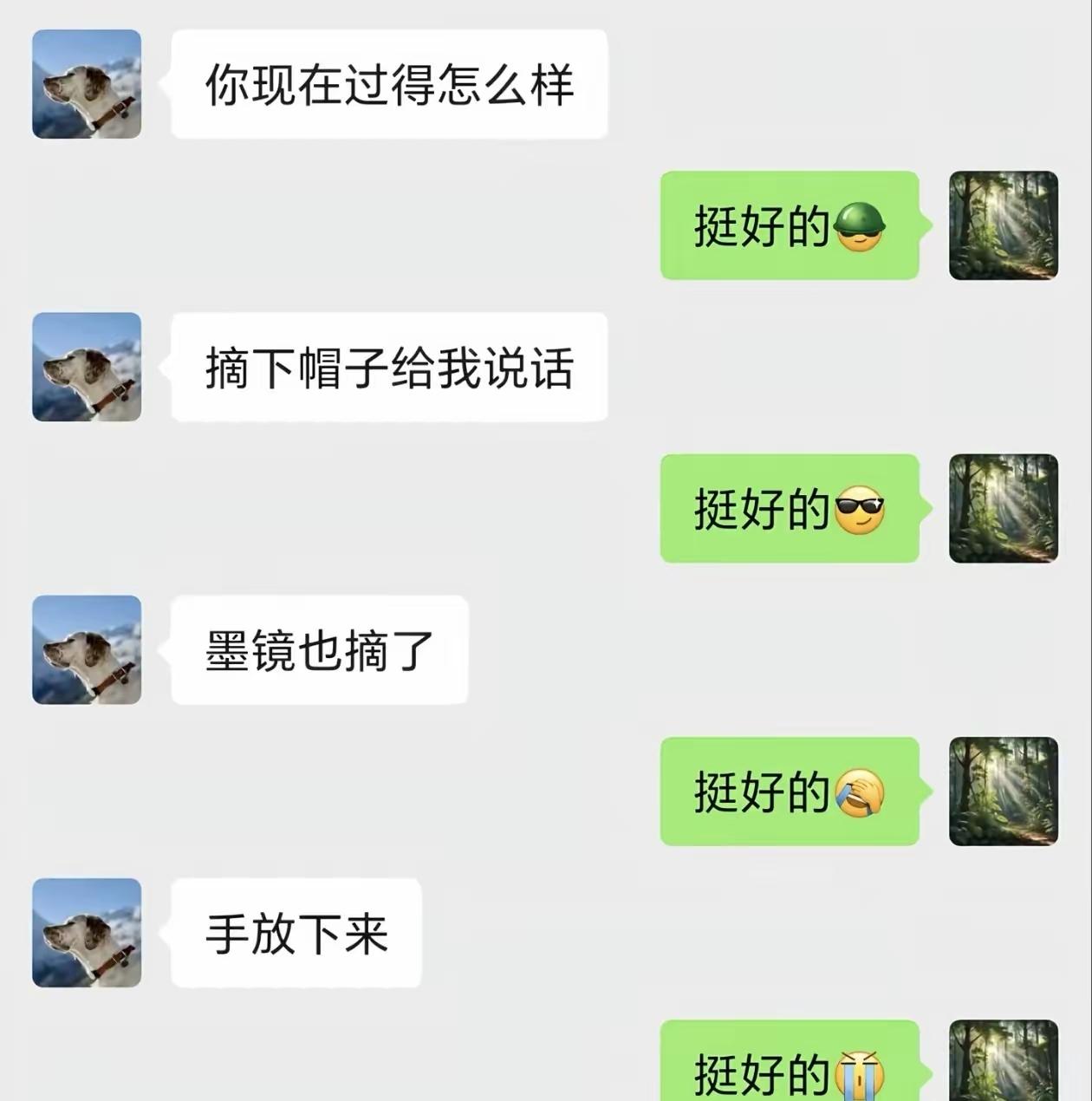 剥去伪装看到本来的面目[捂脸哭]