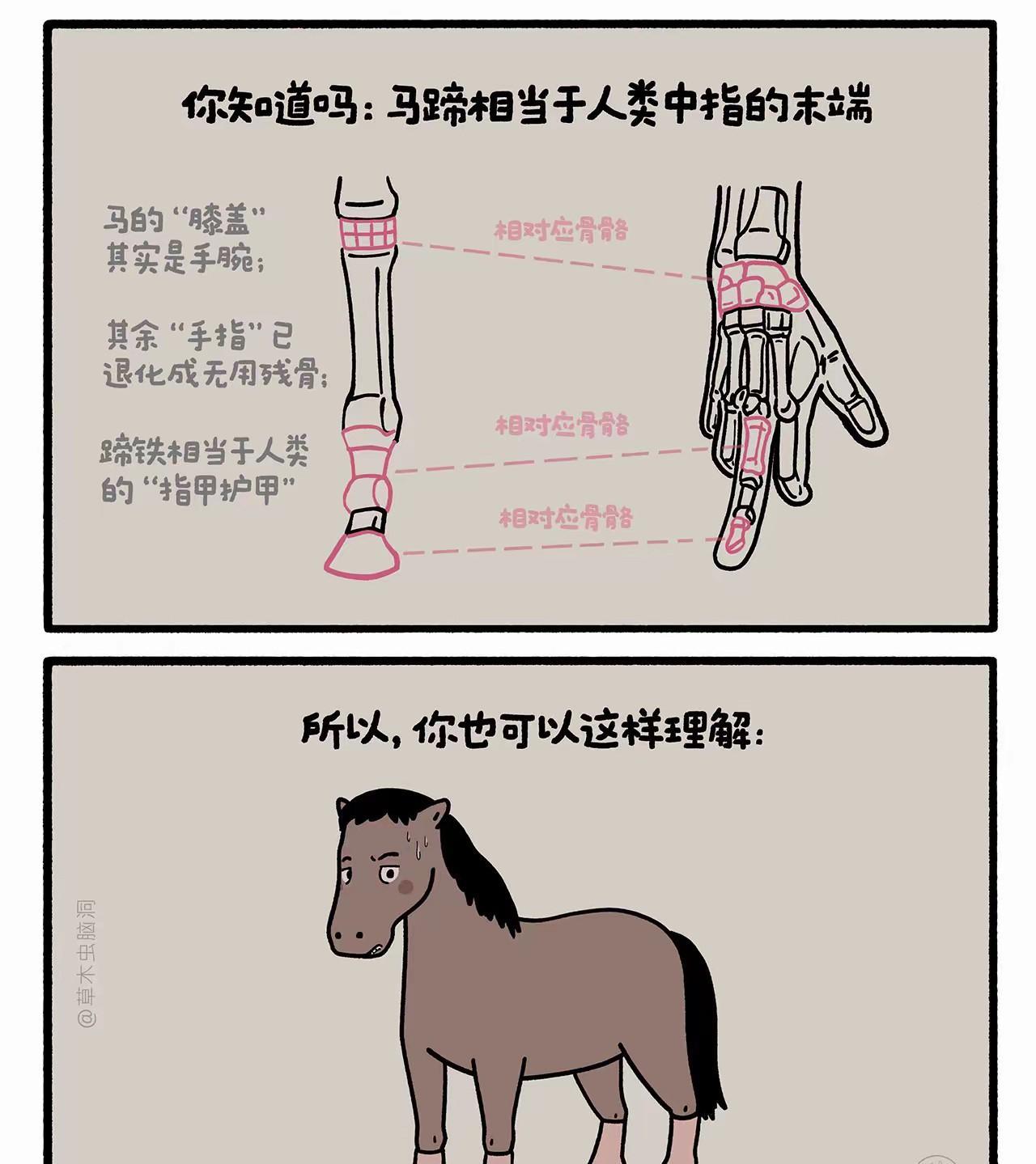 马：我不但踢了你，同时也骂了你。如何呢，又能怎？