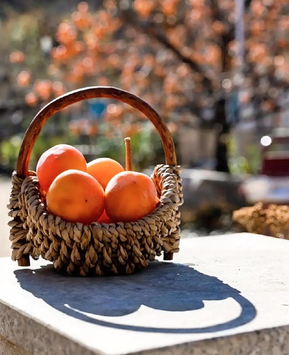 邻居特别喜欢吃柿子，从柿子刚刚上市开始，见她每次逛菜市场回来，手里面都会提着一份
