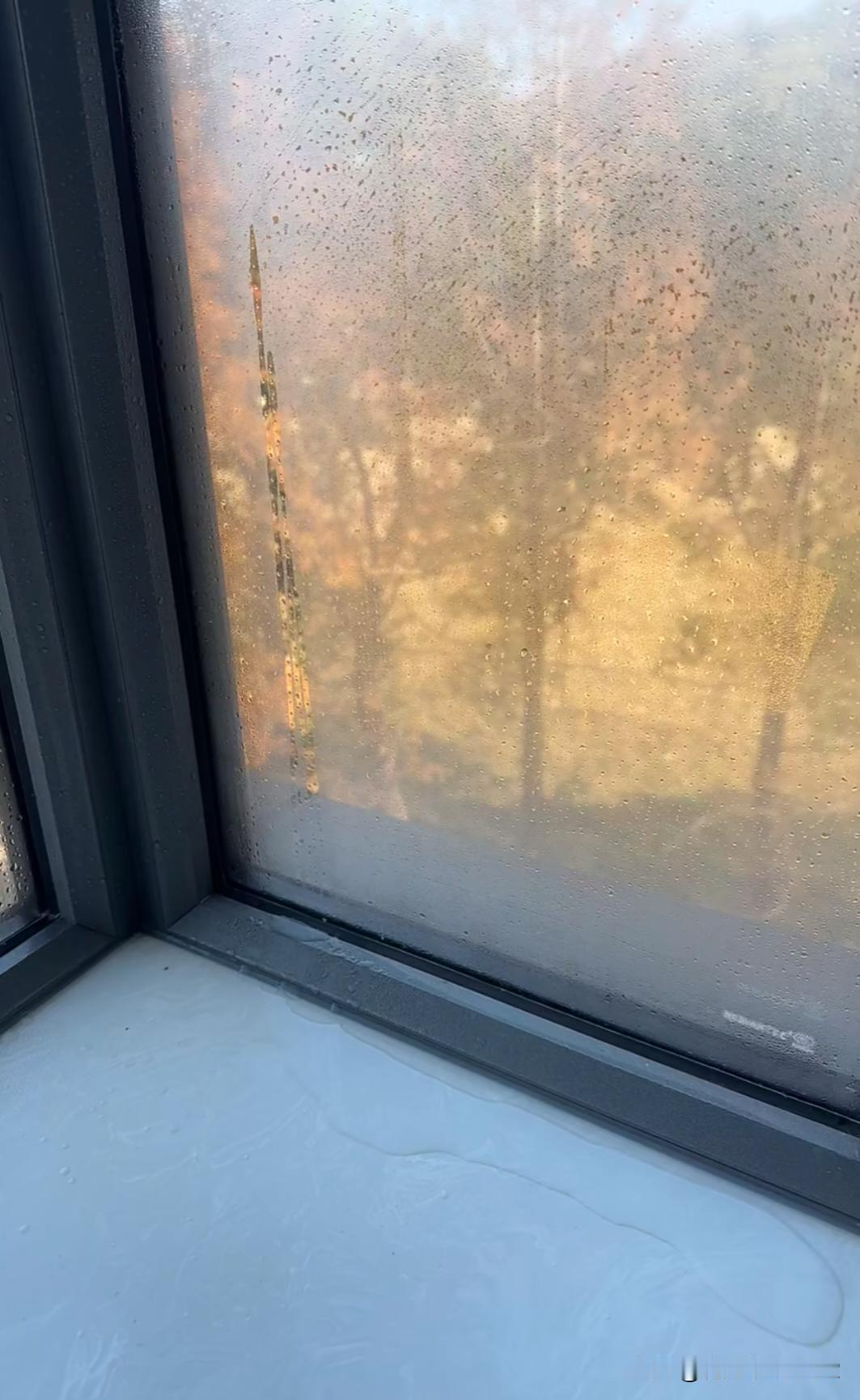 自从开地暖后家里多了项固定家务，怎么破？每天起来，窗台上都是冷凝水。更惨