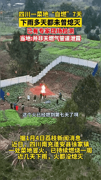 傻眼了！四川一女子本来想着去自家菜地摘点新鲜菜做晚饭，刚走到地头就看见一团红色类