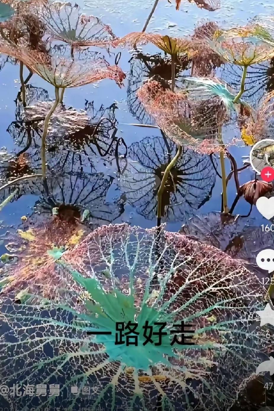 柴桑大姐非常明智，急时提醒大家，事出反常必有妖，内藏玄机！今天刷到的都是谁谁