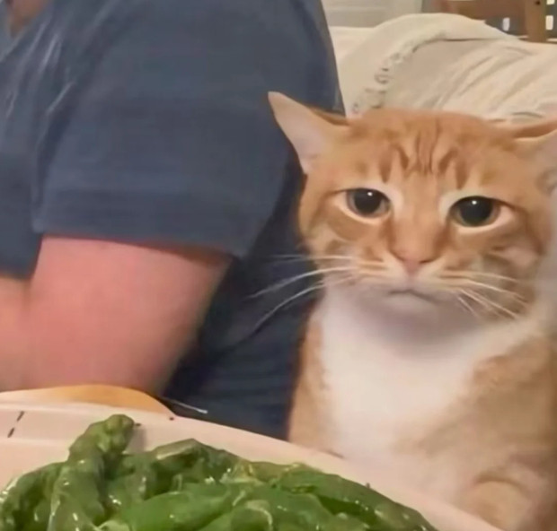 不想吃饭，不知道吃什么，但是不吃午饭下午肯定会饿“晕”过去