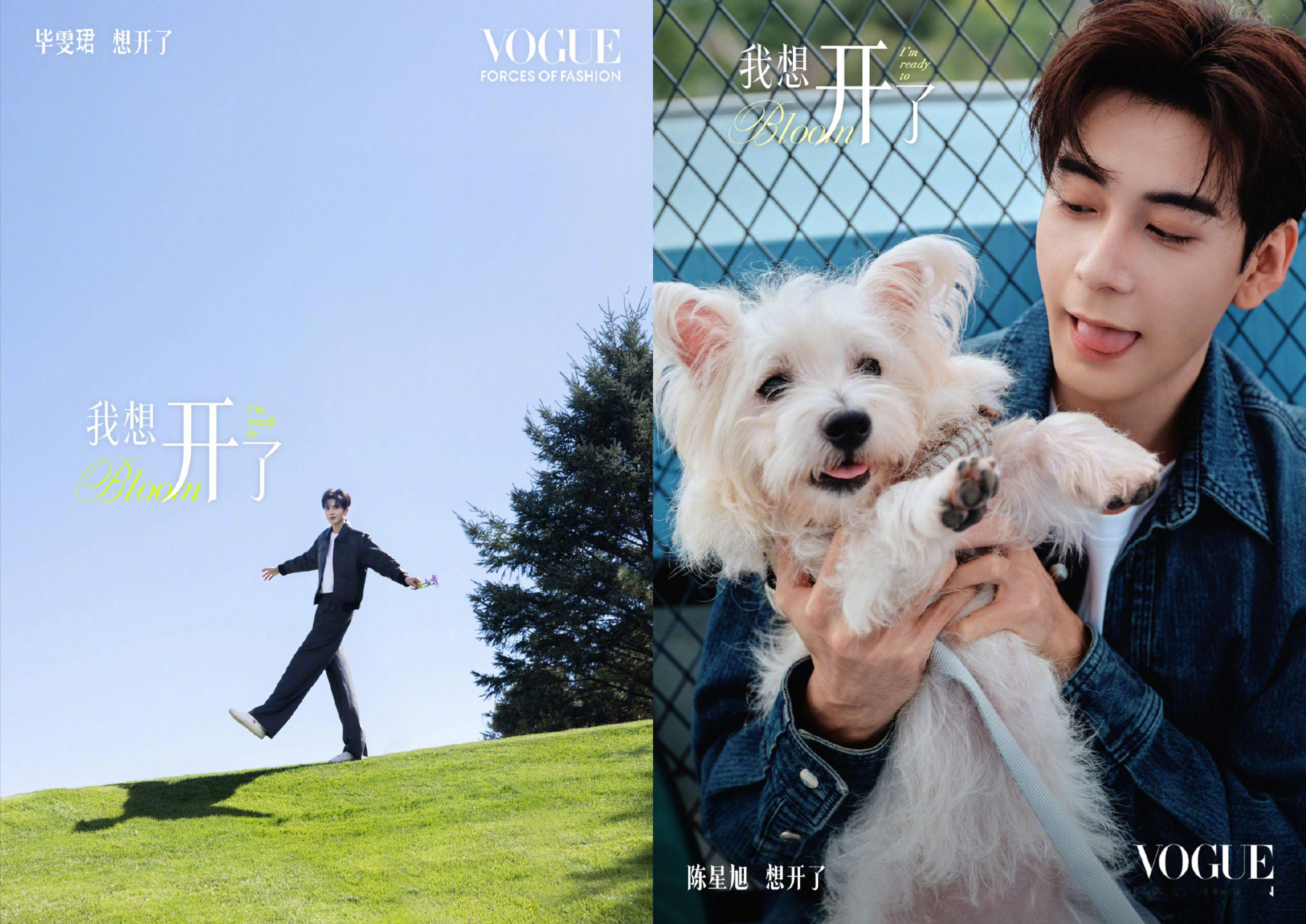 10.23VOGUE盛典嘉宾阵容官宣📣毕雯珺、陈星旭、陈哲远、龚俊、刘亦菲