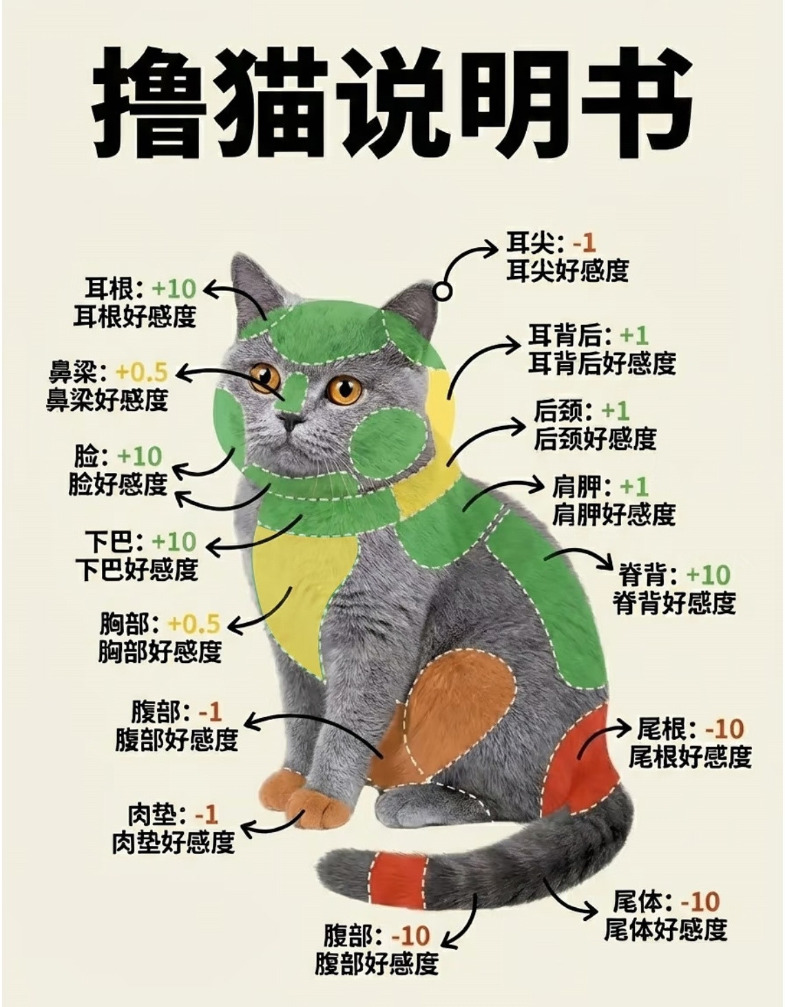 撸猫是有讲究的