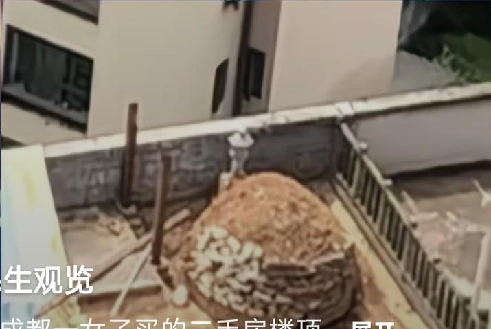 四川成都女子买的二手房，楼顶有一座坟，就在客厅正上方买房多年，毫不知情，