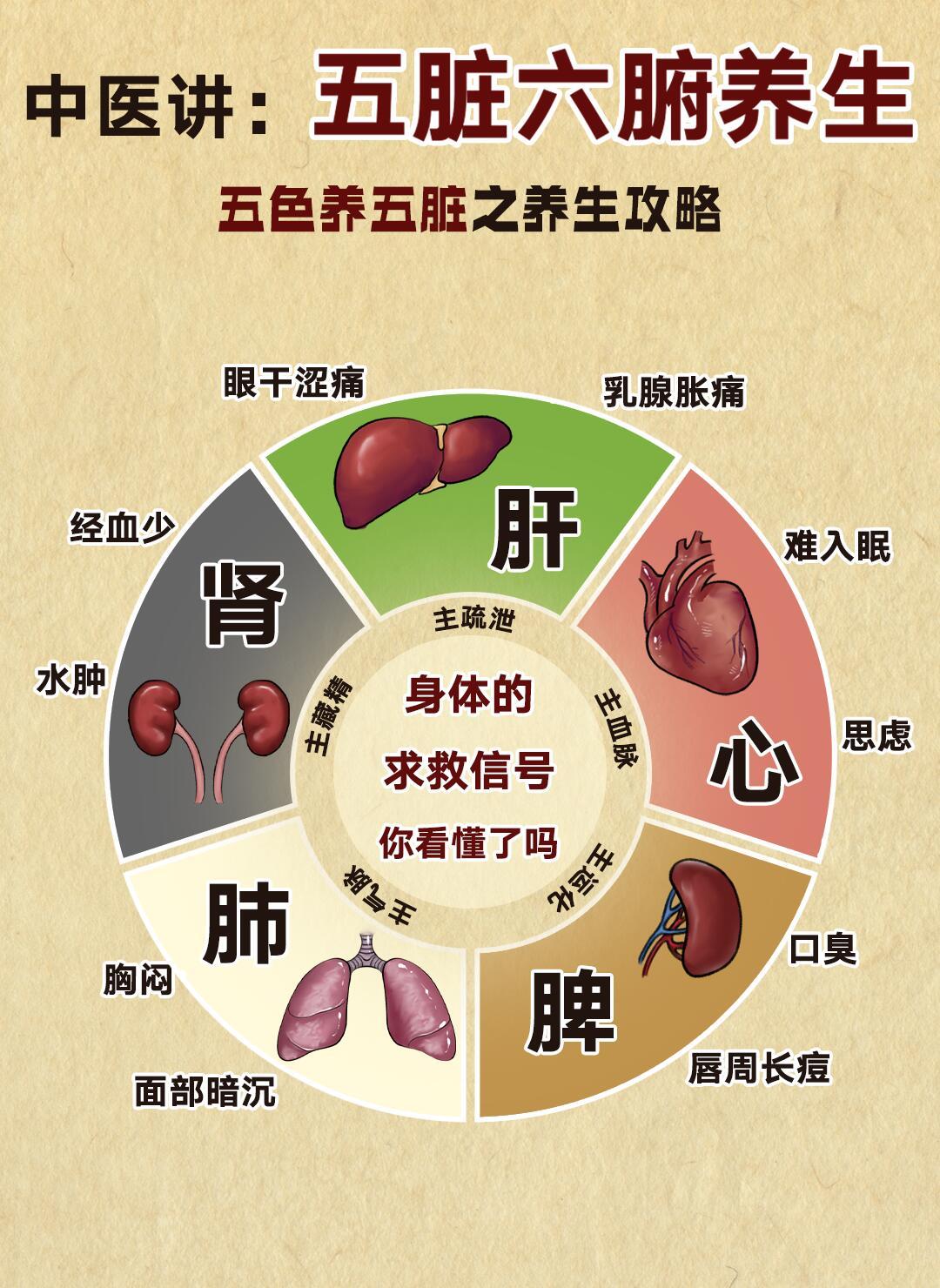 中医讲:五脏六腑养生❗五色养五脏养生攻略中医养生讲究五脏六腑的平衡，五色食物对应