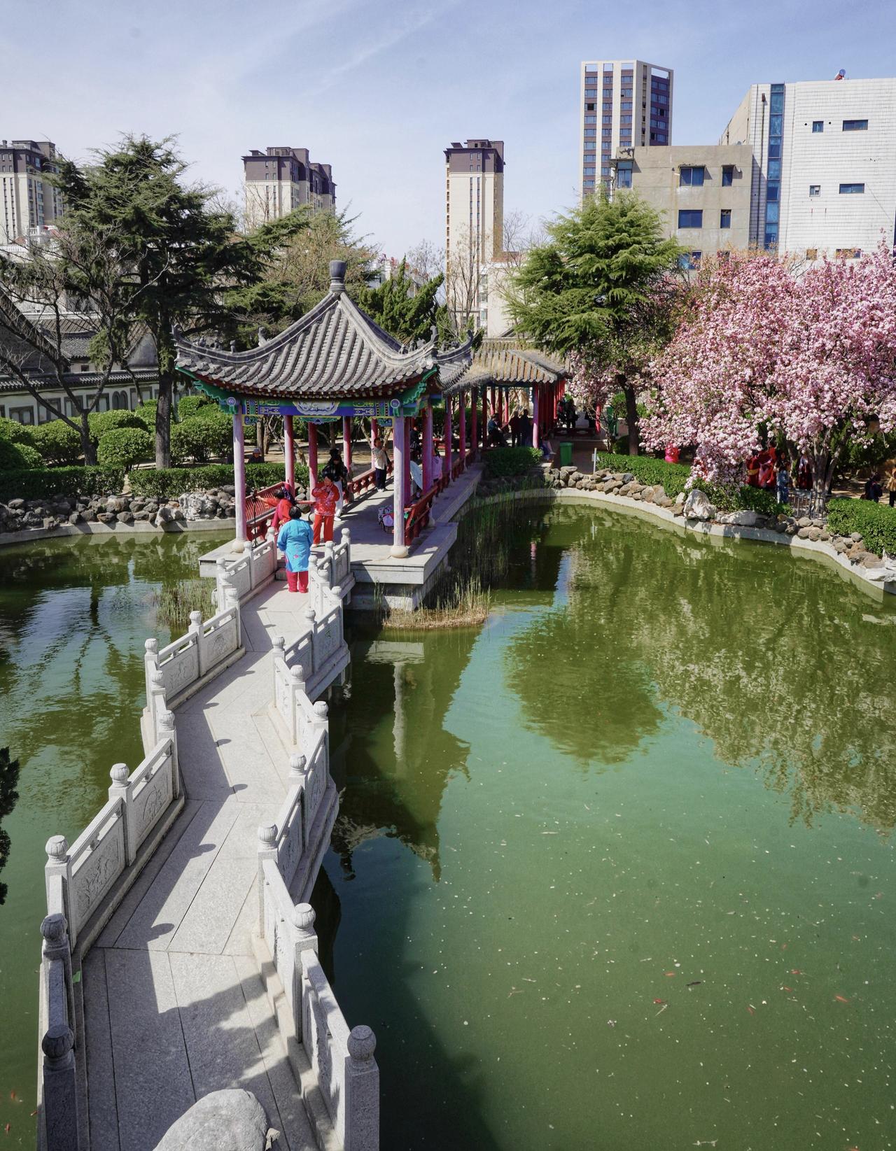 走一趟山东龙口，离开之后脑子里全是疑问。它常年稳居山东头部县级市行列，依托港口与