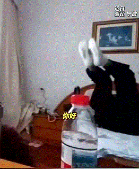 笑不活了，浙江宁波，一父亲以时薪5元，日薪最高50元的“工资”，让21岁的小伙寒