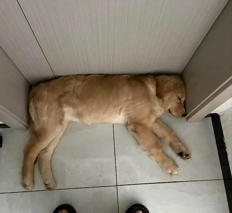 这还真是严丝合缝啊哈哈哈