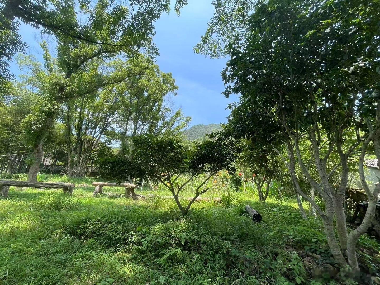 与我的一位忘年交及合伙人聊了一下午，他说:从上世纪八十年代踏入AI领域至今，见证