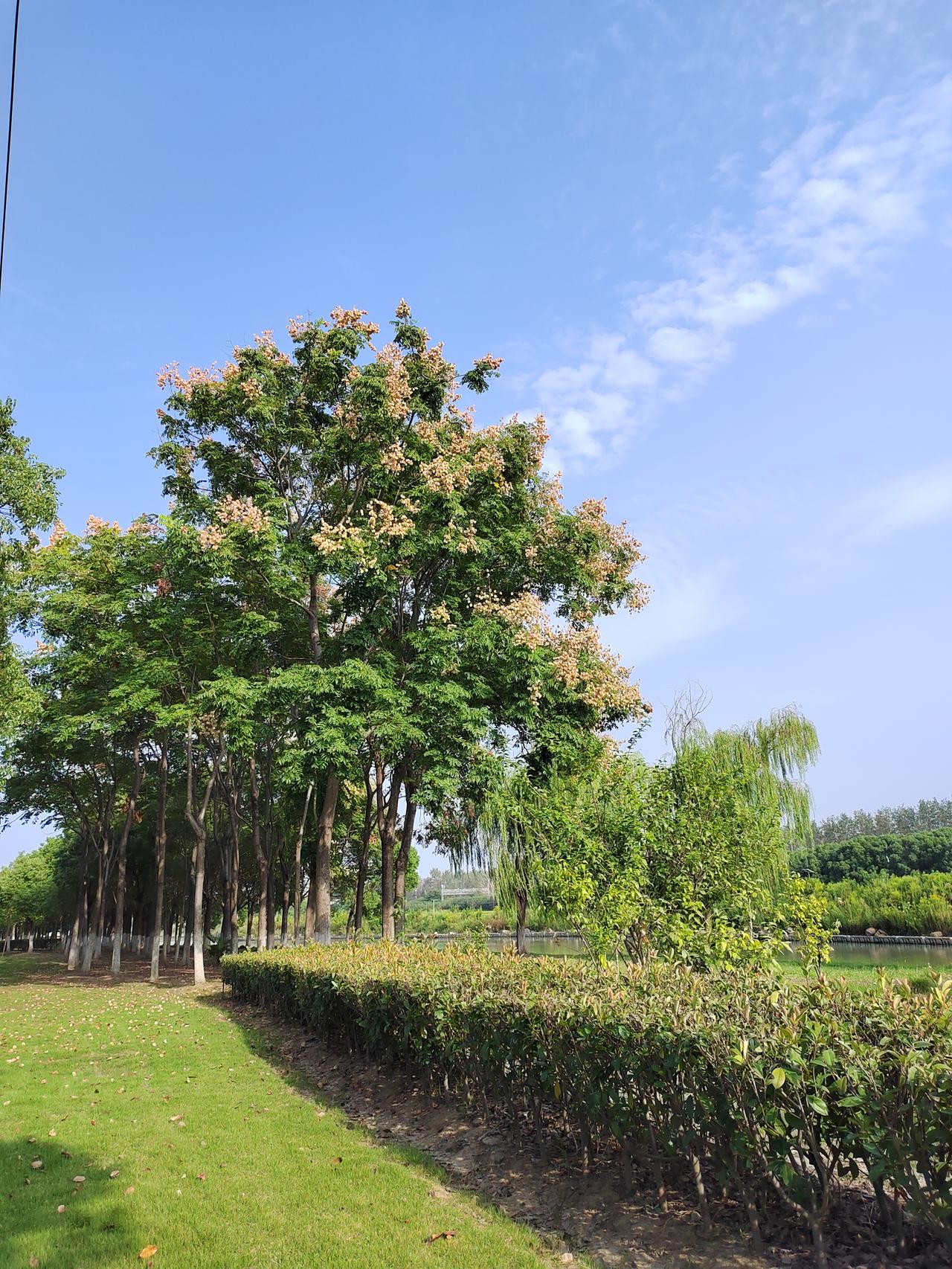 作为普通的写作者，我们应该感谢这个时代。只有在当下，让我们的表达，才有展现在世人