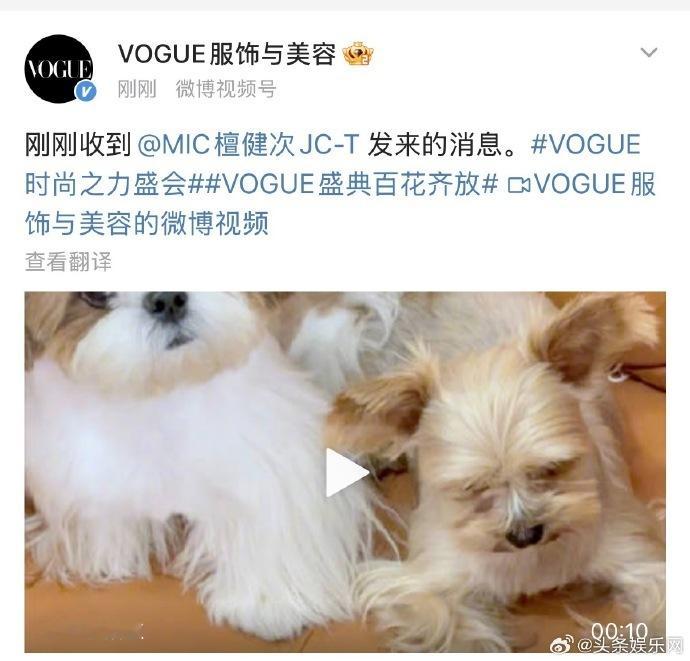 众星录制了VOGUE请假视频，一系列众星为VOGUE准备的请假视频被呈现