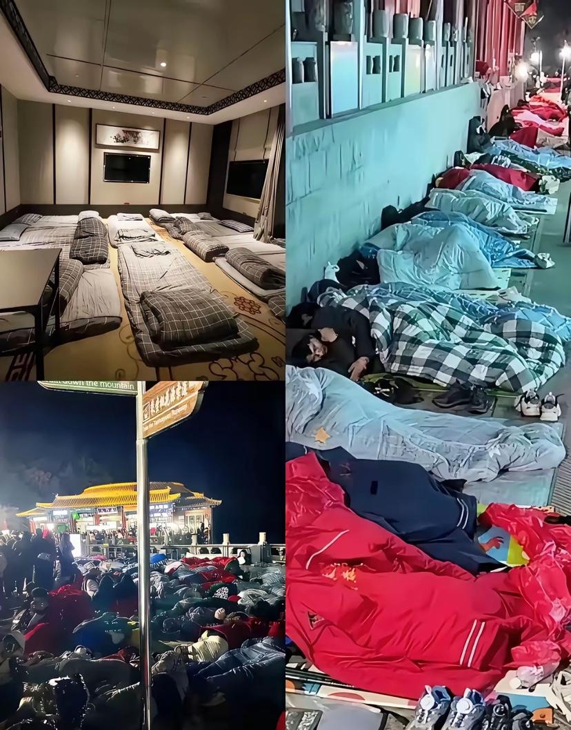 泰山没火，泰山酒店却火了！不是因为一间房8个床位，而是因为一张垫子300块租