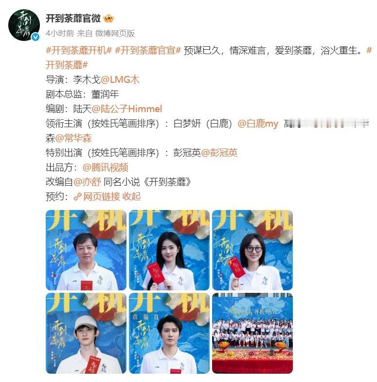 常华森粉丝《开到荼靡》剧宣维权！《开到荼靡》官宣了，白鹿，高海宁，常华森领衔主