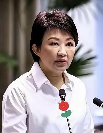 台中市长卢秀燕最近的动作，确实让不少人看出了点门道。以前大家都叫她“妈妈市长