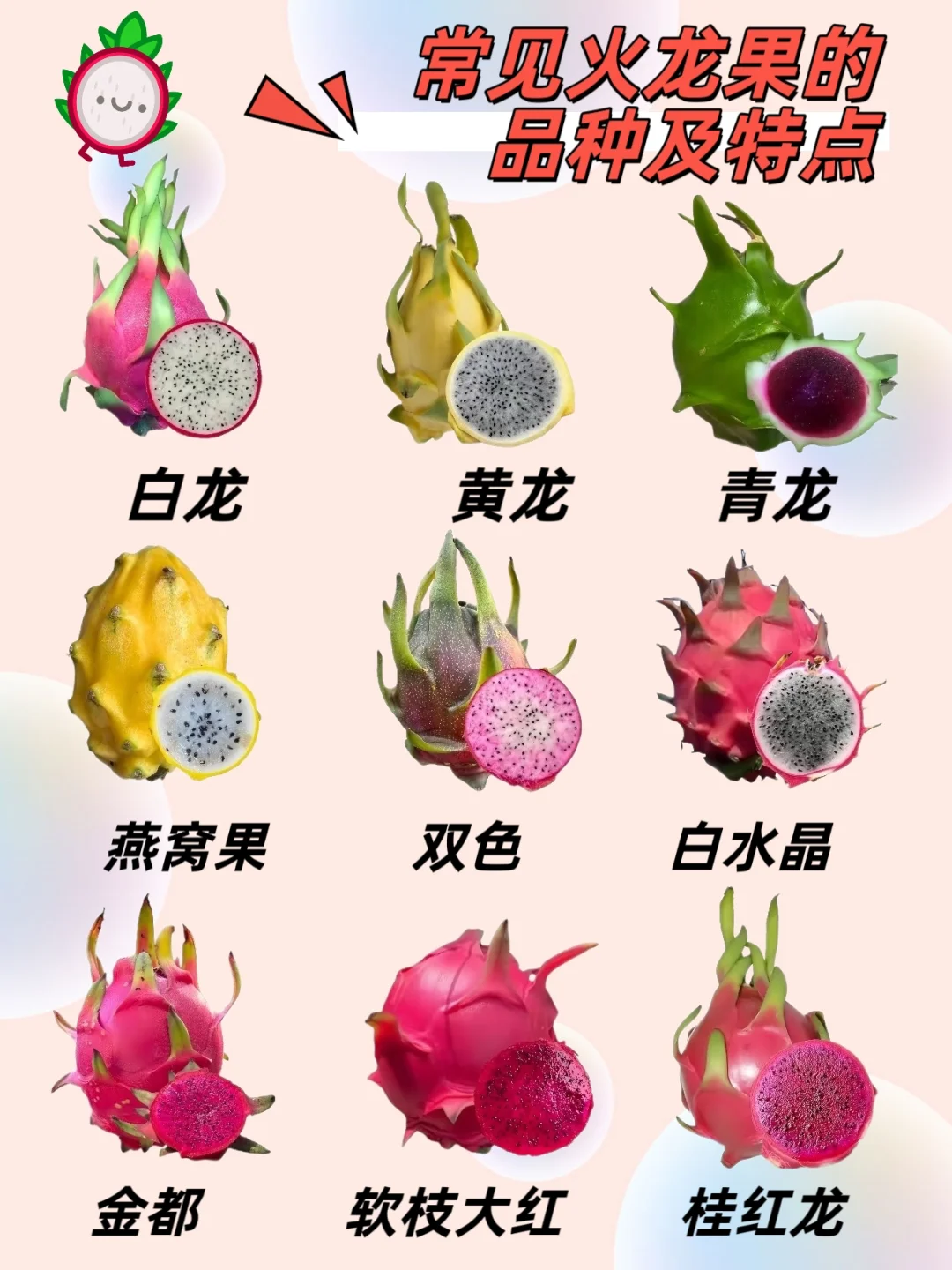 火龙果常见品种速览： 1. 白龙：水分足，带脆感，甜度适中，适合清淡口...