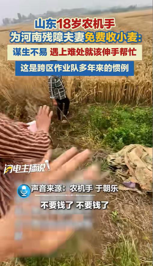 河南南阳，一名19岁的山东农机手在帮忙收割小麦时，发现麦地女主人全程沉默不语。后