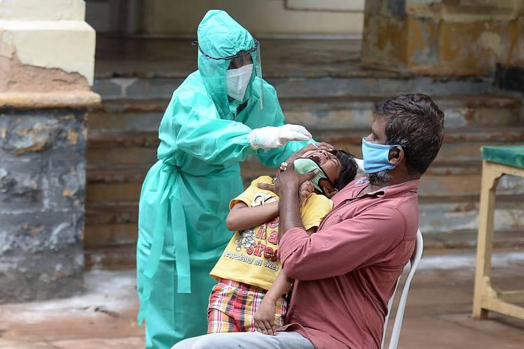 武汉所再立大功！新冠药竟能治致死率75%的尼帕病毒，这波老药新用太顶了尼帕