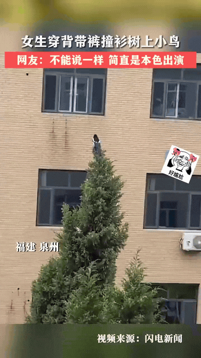 解释不清了！福建泉州，一女孩和妈妈在楼下散步，突然听到妈妈说:“你转过去，我给