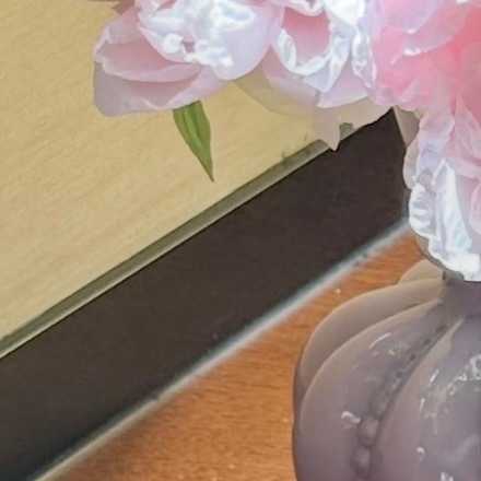 0000芙蓉种植方法：1.土壤选择：芙蓉喜肥沃、湿润、排水良好的沙质壤土，