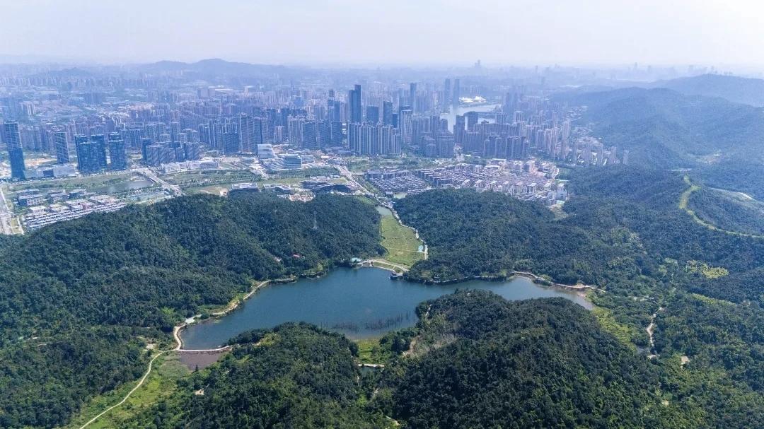 距离长沙中心城区仅12公里的象鼻窝省级森林公园，正处于保护性开发的关键期。这片森