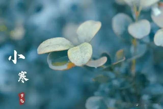 “白天大寒暖烘烘，晚上大寒冻死牛”，2026大寒在哪？啥预兆“大寒为中者，上