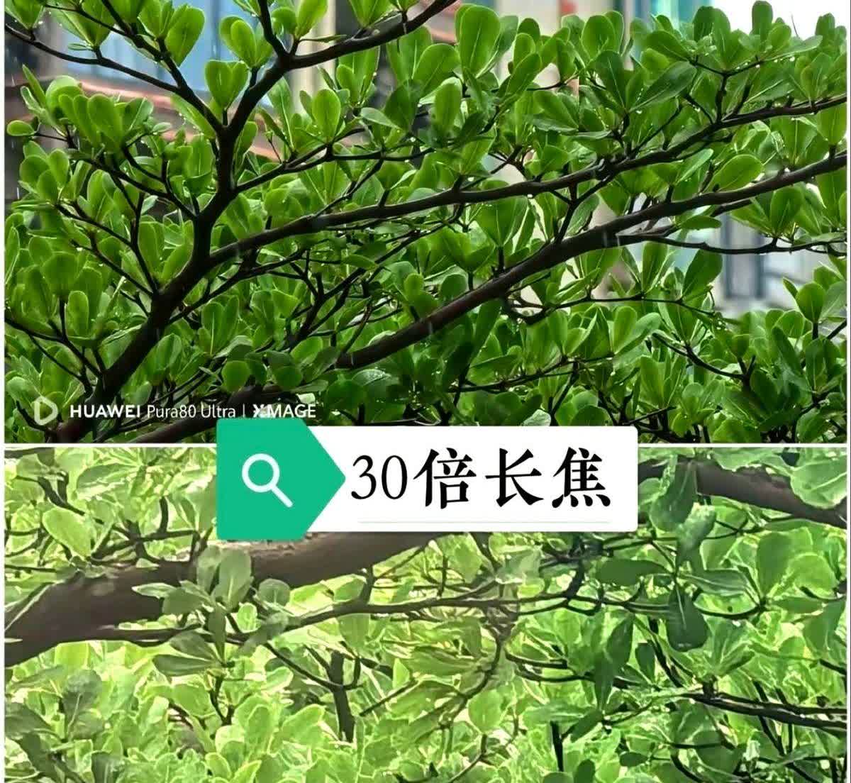 Pura80Ultra的长焦提升非常明显对比Pura70Ultra长焦