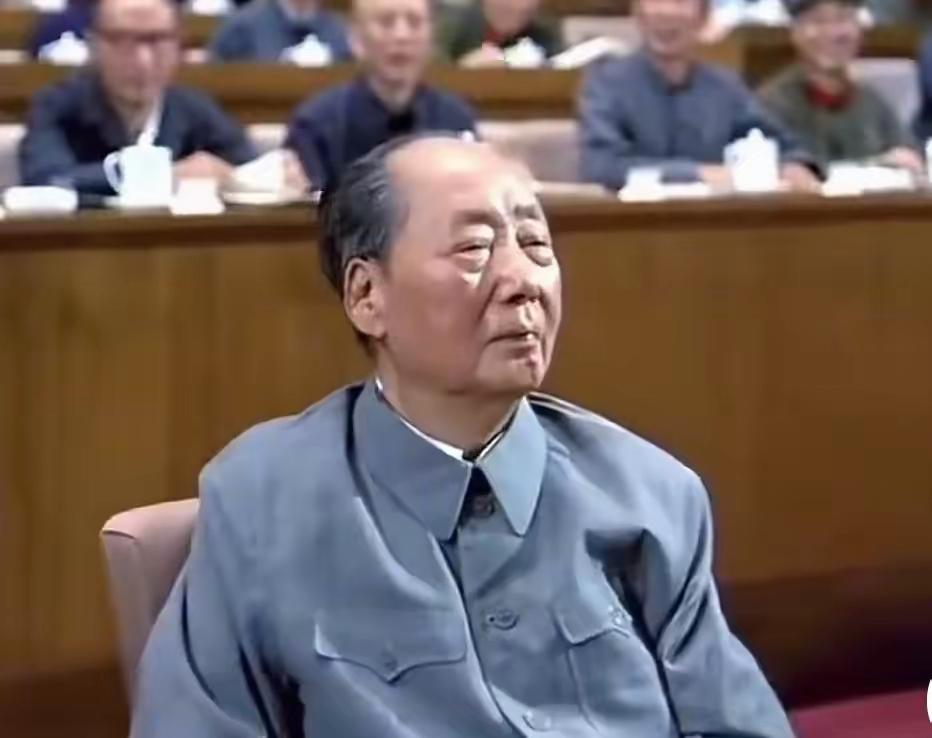 毛主席的伟大决定，始终围绕民族独立、人民解放和国家富强，每一个都深刻改变了中国命