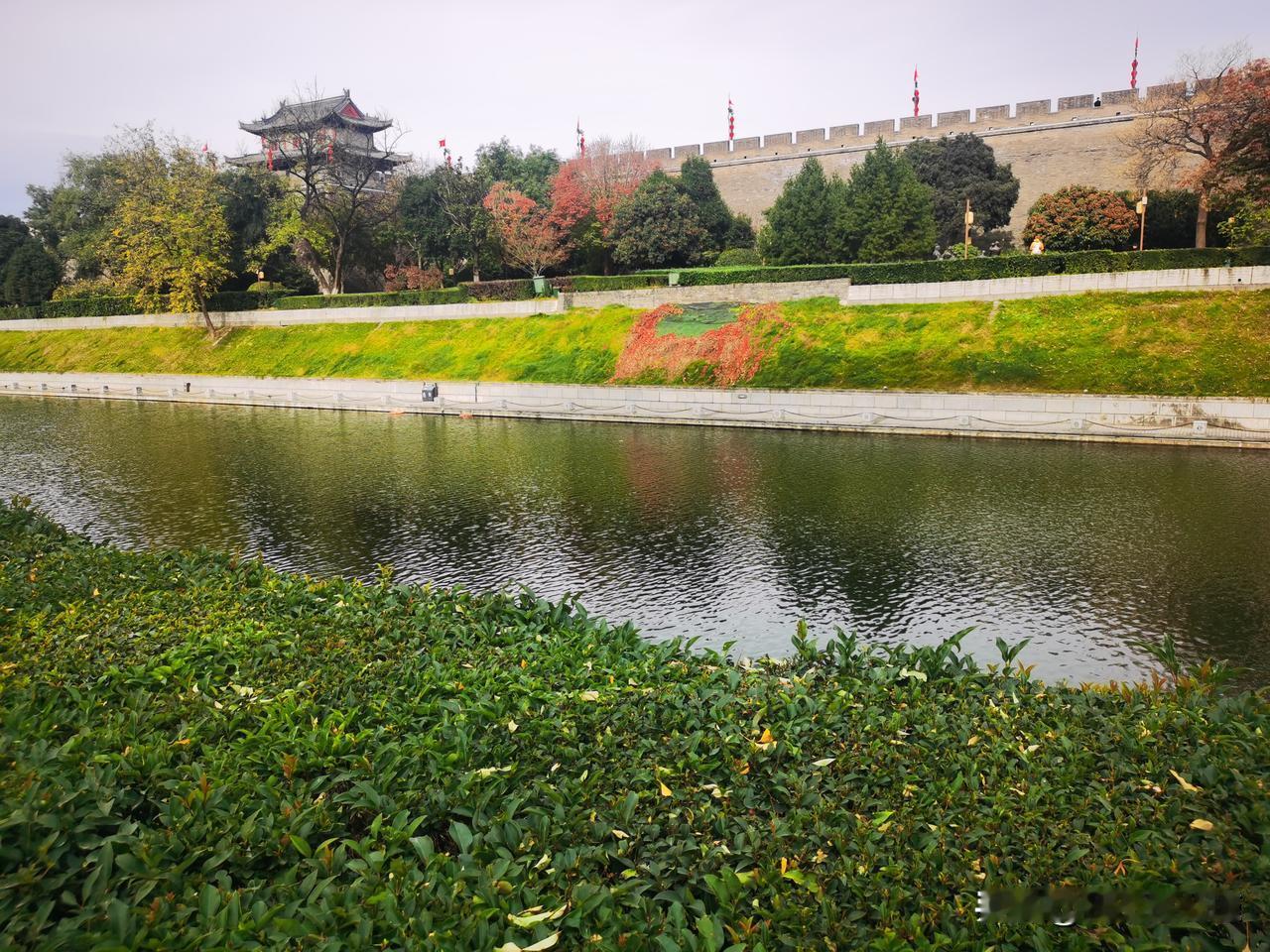 如画不如画[大笑]城墙护城河还有花花绿绿的植物一起勾勒出初冬的西安美景