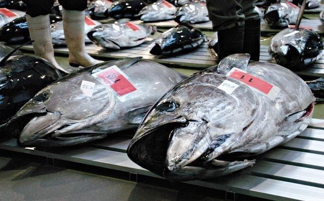 日本排放核水后，奇怪的事发生了：刚开始各国对其海鲜避之不及，如今2年过去，核水已