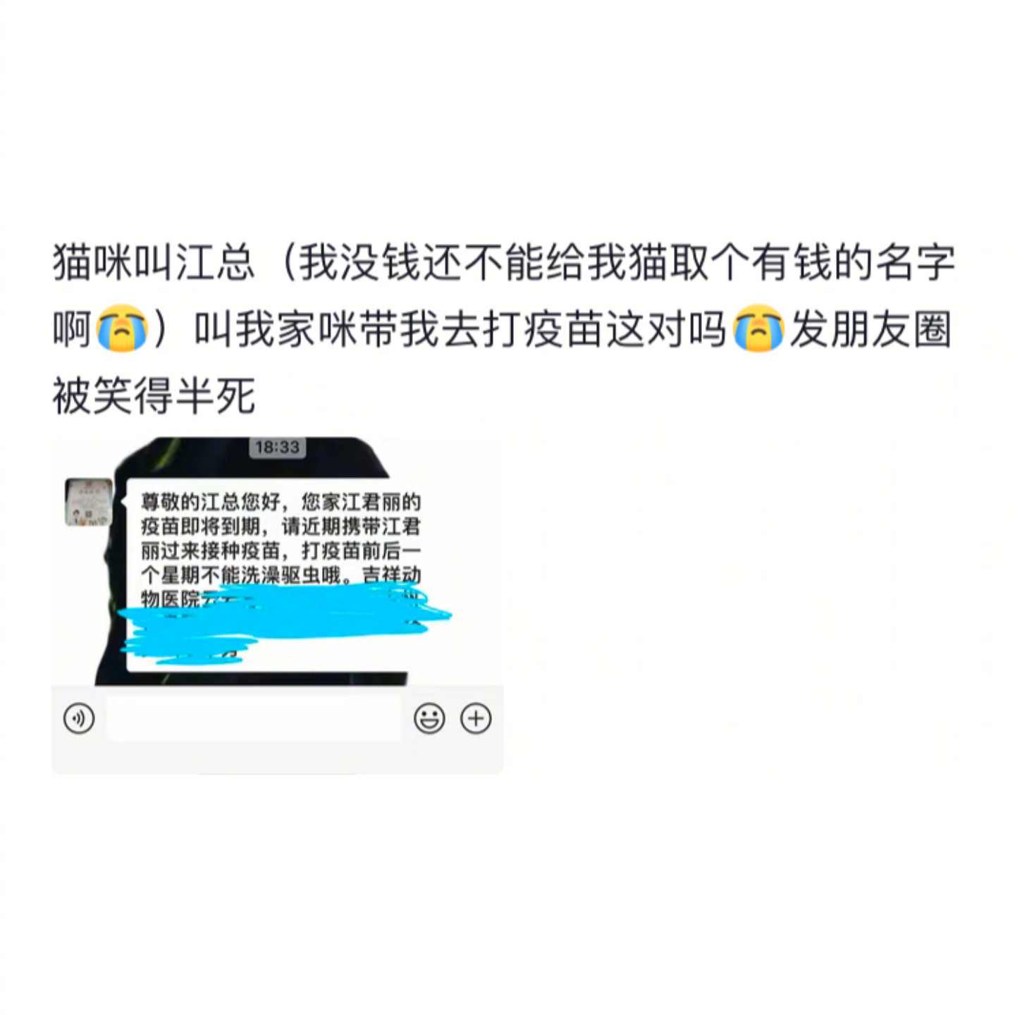 宠物在外名字是别人起的