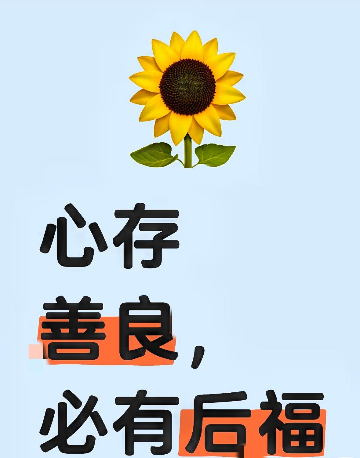 300元红包刷屏！哈尔滨月嫂凭什么让网友直呼“想遇同款”？哈尔滨月