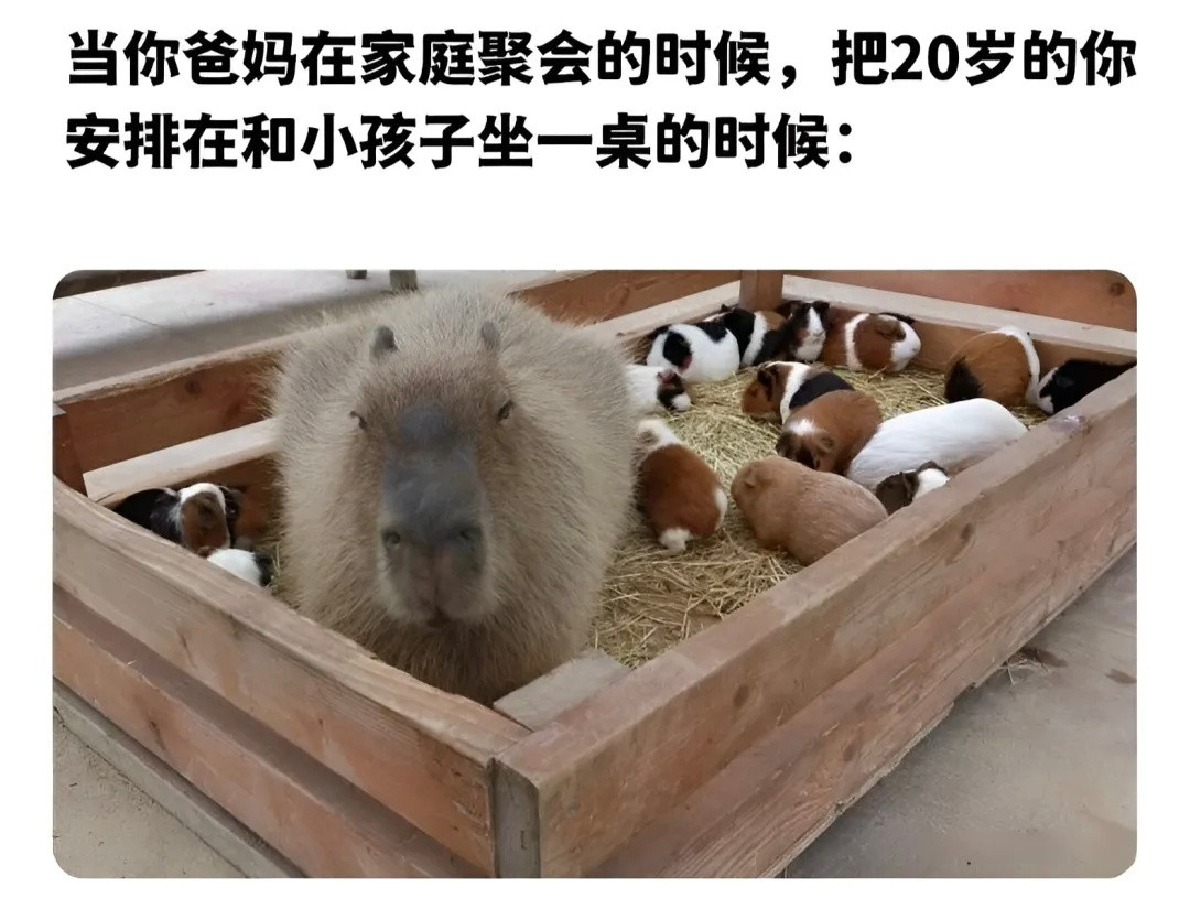 我不语只是一味的在塑料膜边角扣洞meme​​​
