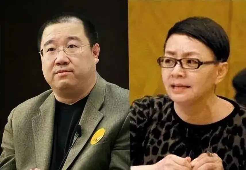 宋丹丹这手太绝了！北京那套上千万的别墅，直接公证给孙子，英达想从这儿沾点好处，法
