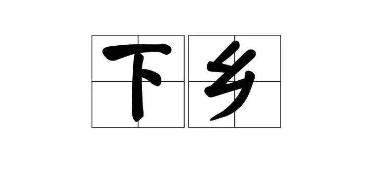 在乡镇待过的人都懂一规矩：普通县直局长下乡，对口副乡长接待就行；但只要是县委常委