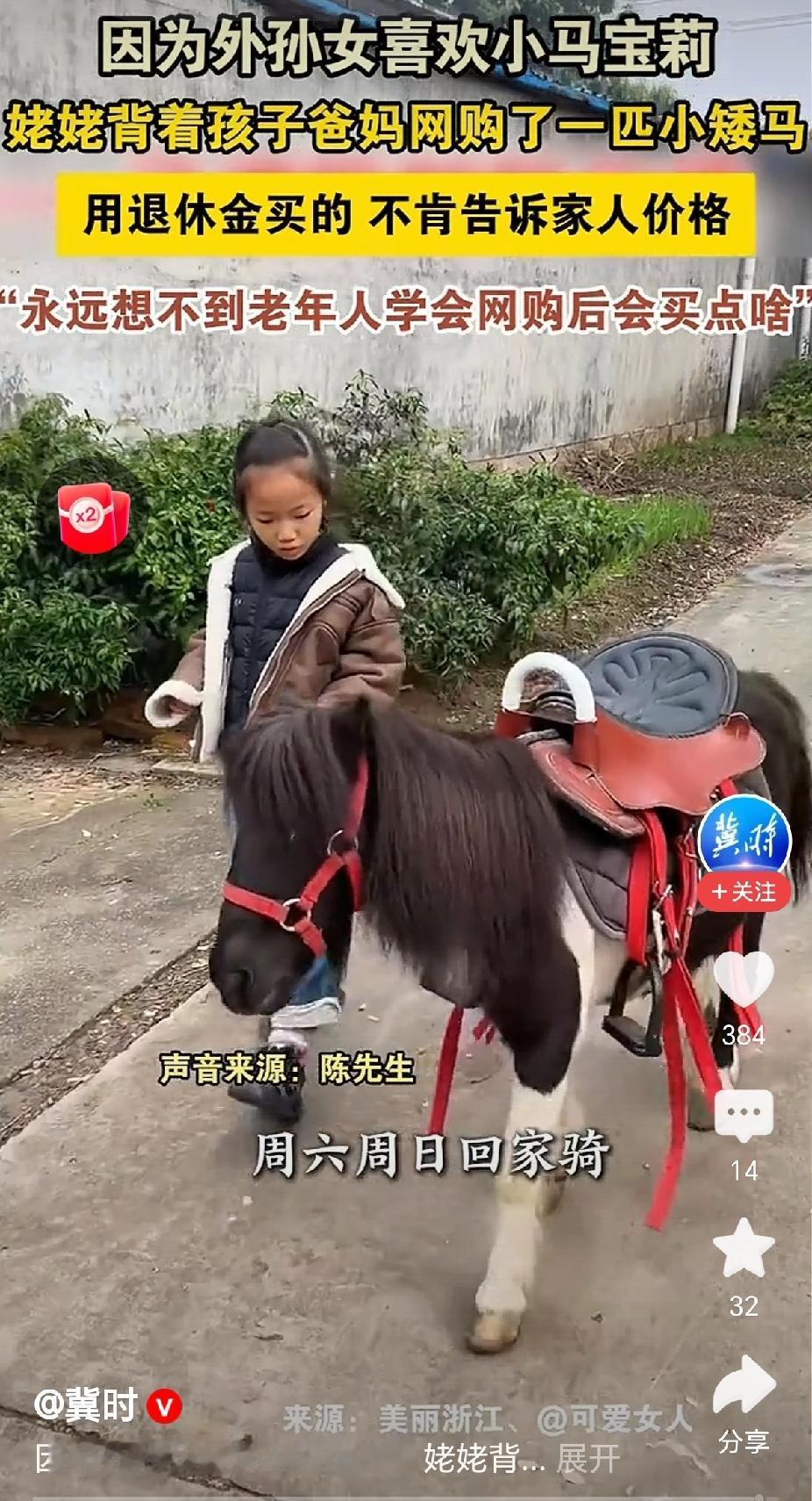 “拉风了,姥姥为外孙女从网上购买了一匹小矮马!”近日山东,一位姥姥用自己的退休金