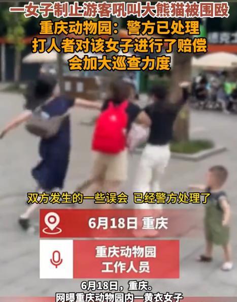 “必须严惩！”6月18日，重庆，一女子在动物园里看大熊猫时，对正在休息的大熊猫大
