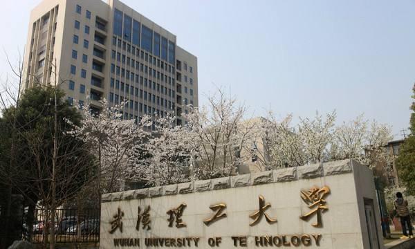武汉理工大学被称为“984.5大学”，有点过誉了，对学校也不是好事。首先地理位