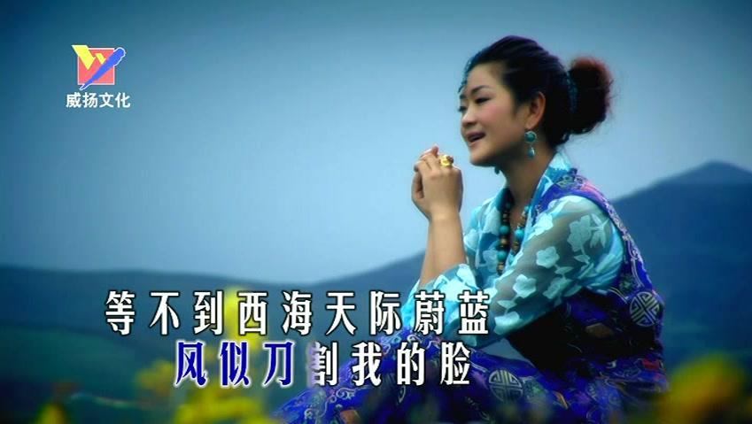 西海情歌 - 降央卓玛 (2014星光璀璨-中国情歌大汇)