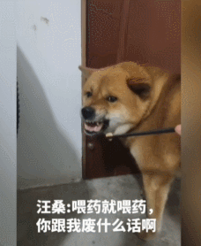 汪桑：你有东西早点拿出来嘛