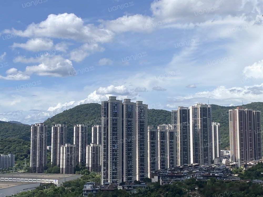 从4.2万跌到1.8万，黄埔龙湖云峰原著，亏掉60%有读者想了解黄埔云埔的龙